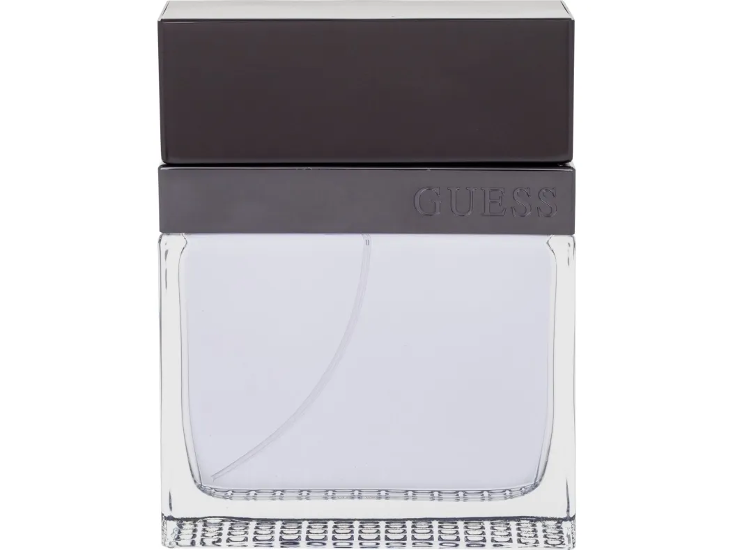 Guess Seductive Homme Eau De Toilette 100 ml (man)