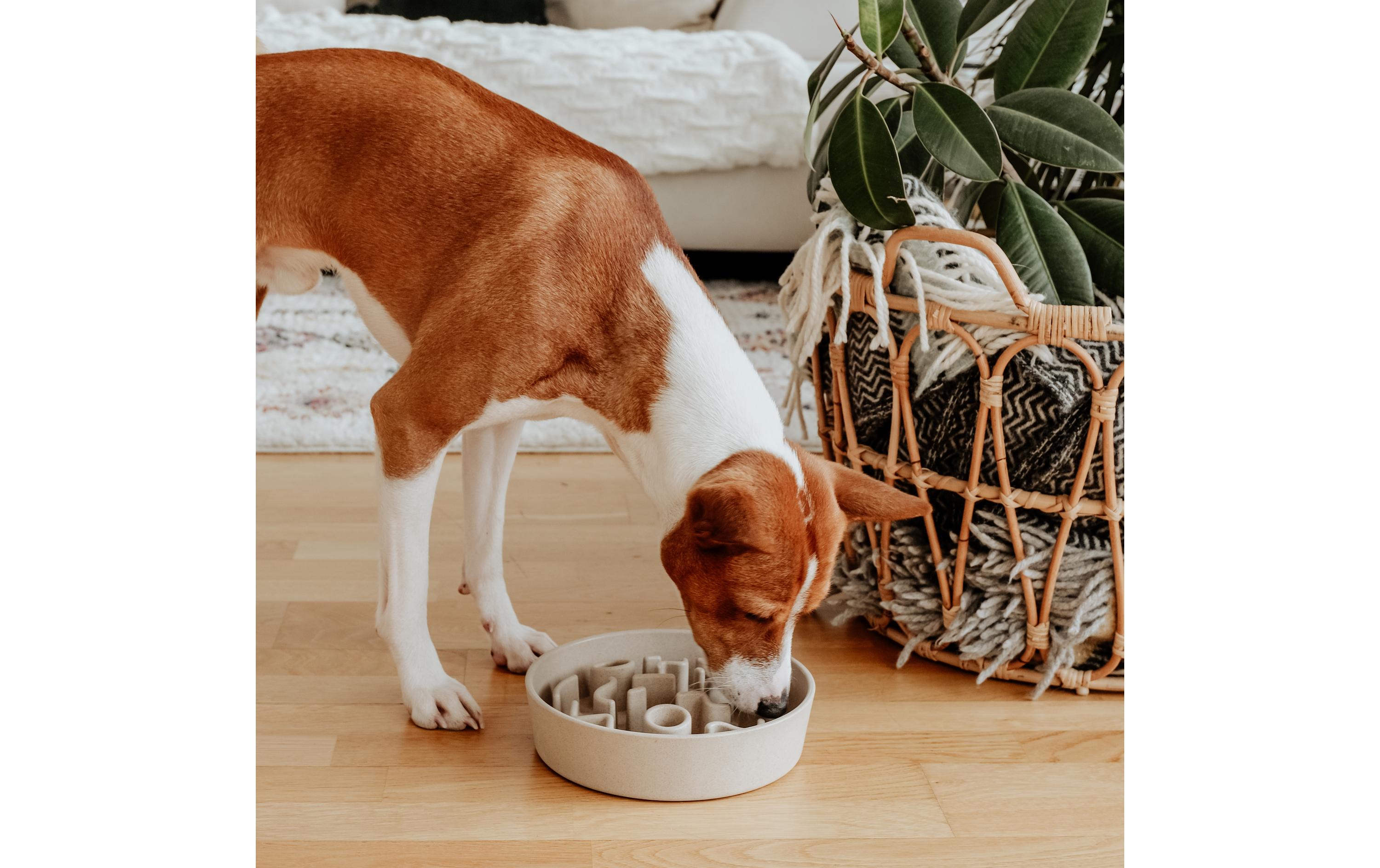 Bambusnapf Bamboo Dog Slow Feeder Ø 28 cm, Creme-WeissAnti-Schling-Napf aus Bambus