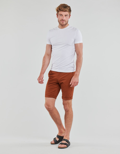Teddy Smith - SHORT CHINO Rojo