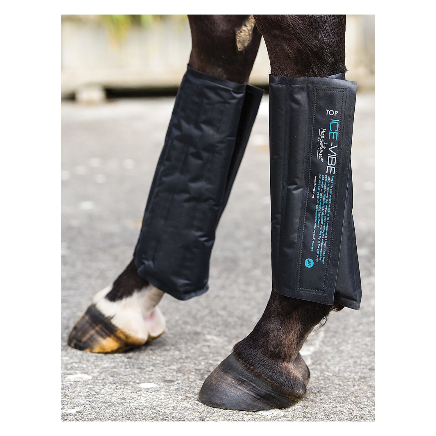 Horseware Eispacks für Ice-Vibe Gamaschen  - schwarz
