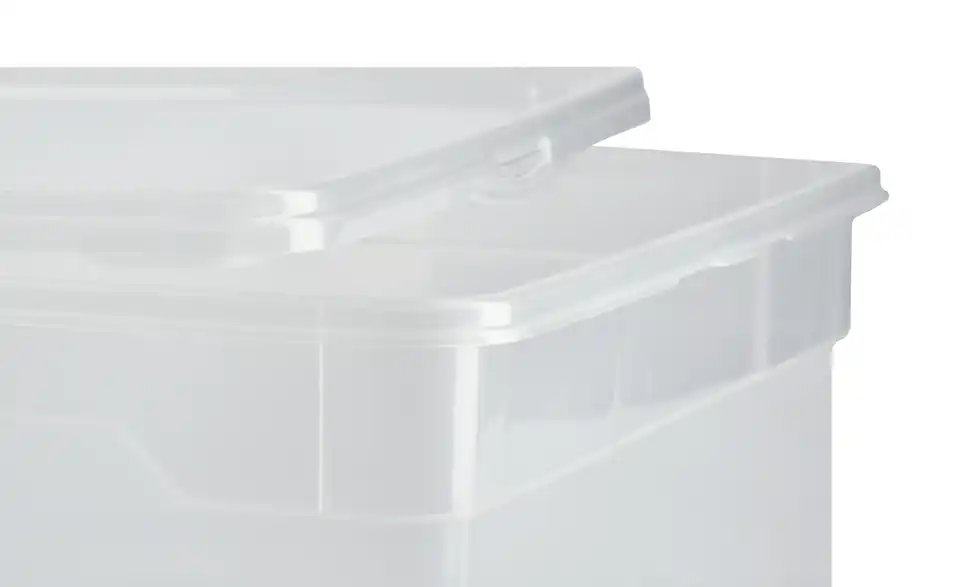 Rotho Aufbewahrungsbox mit Deckel 36,5 cm