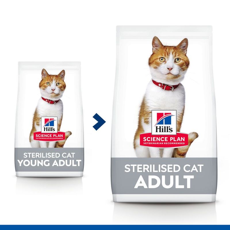 Ração esterilizada para gatos adultos Hill's Science Plan com sabor de frango.