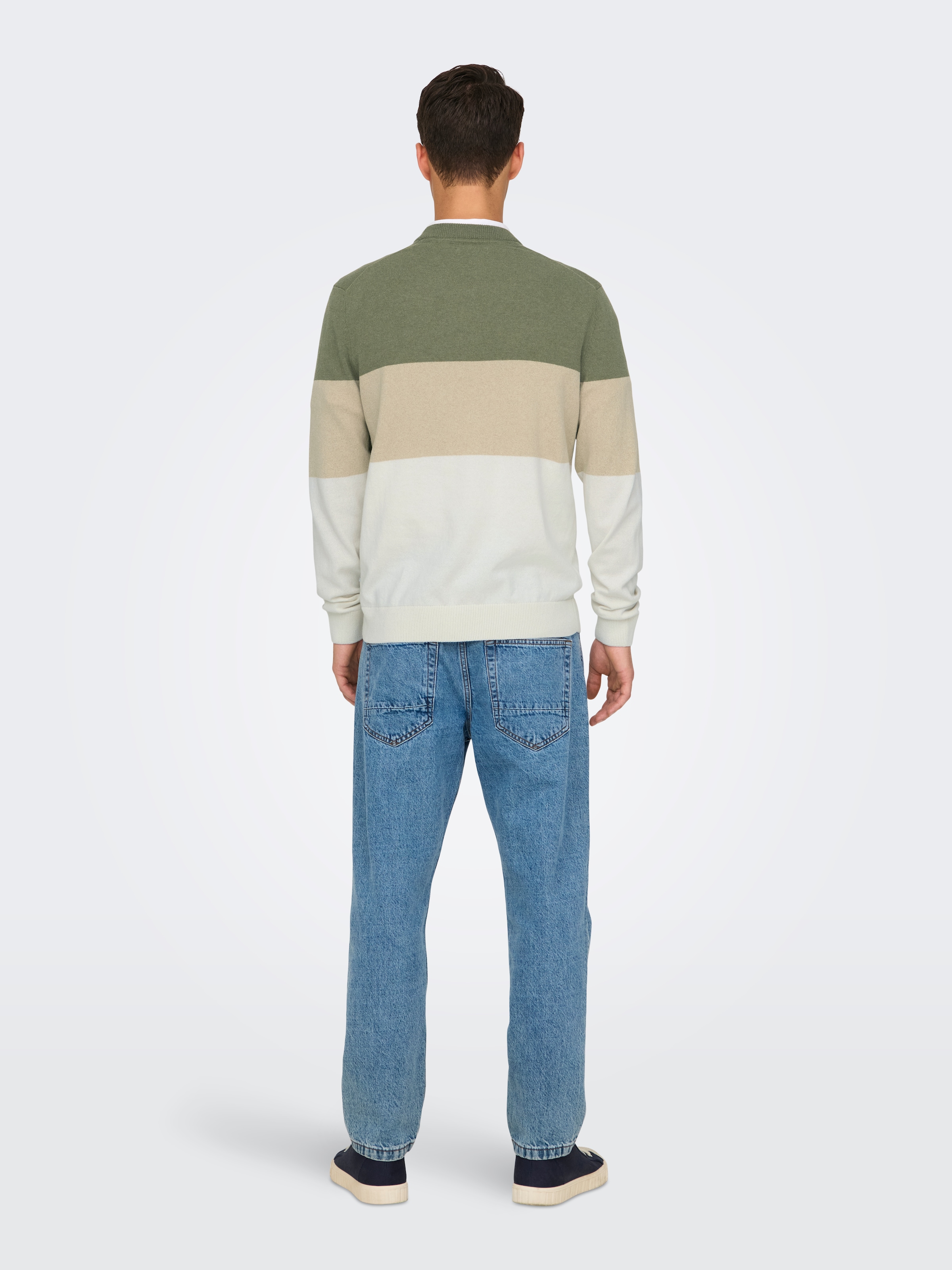 ONLY & SONS Rundhalspullover »ONSREX LIFE REG 12 CREW KNIT«