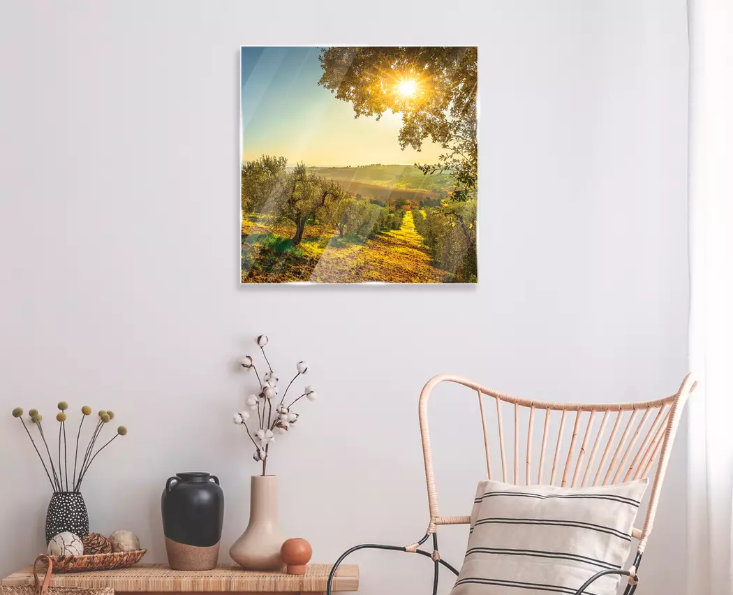 Glasbild 50 x 50 cm Maremma Vineyards