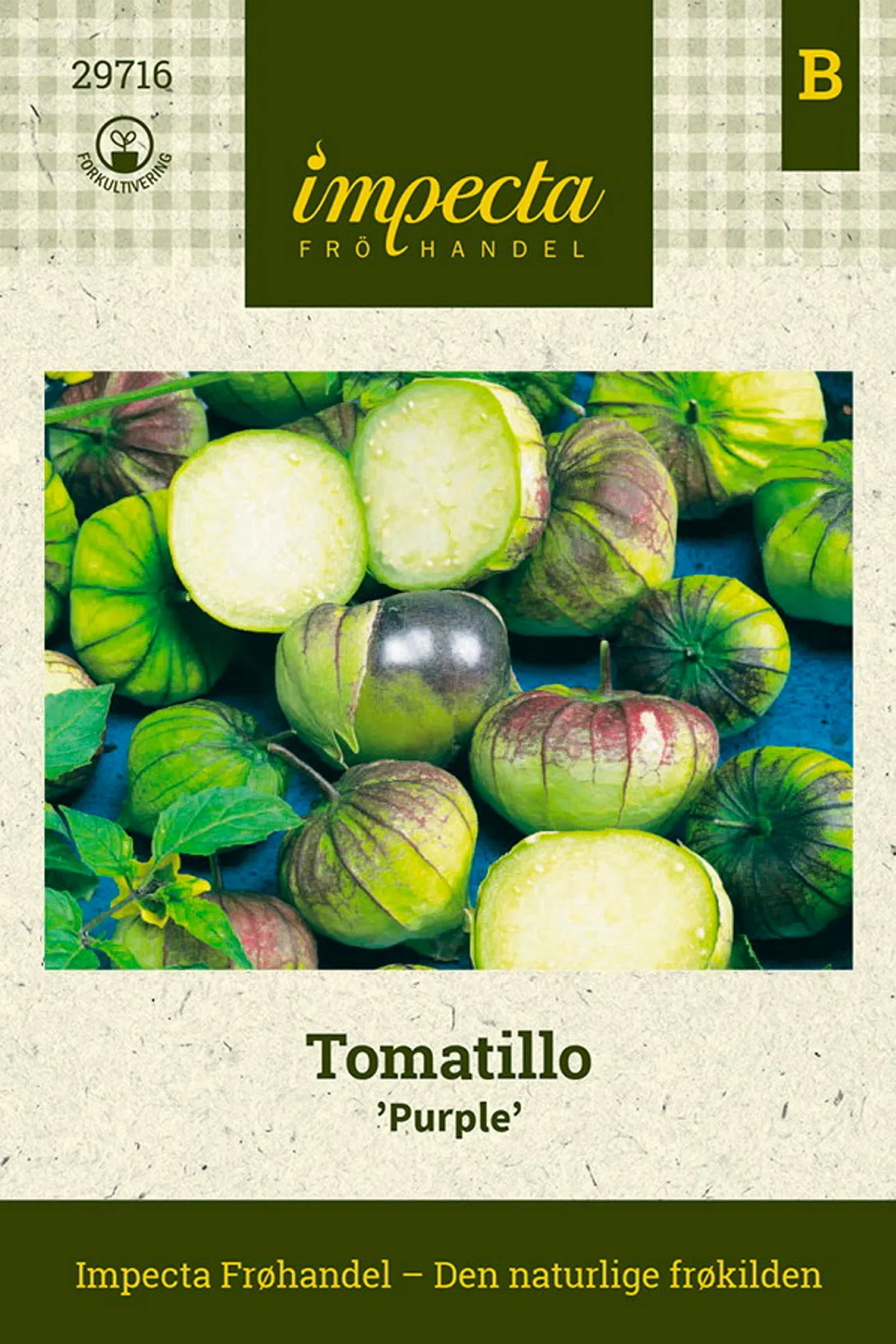 Physalis philadelphica 'Purple' Tomatillo 'Purple'