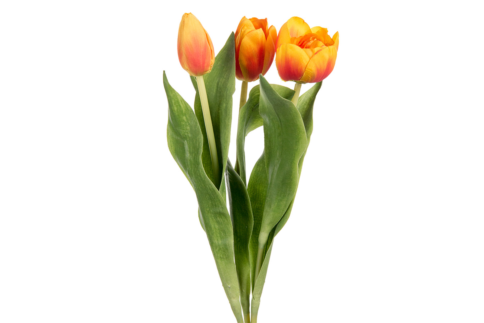 Tulipan stilkblomst mix Orange assorterte varianter. H36 cm. Pris pr stk