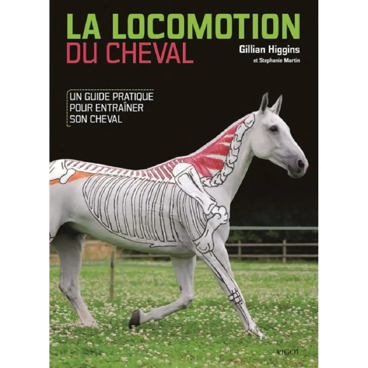 La locomotion du cheval : un guide pratique pour entraîner son cheval