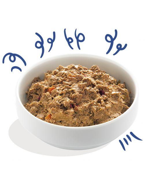 Edgard&Cooper Kuipje Salmon Trout Adult - Hondenvoer - Zalm Forel Rode Biet 150 g Graanvrij