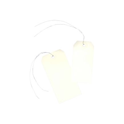 Avery - 1000 Étiquette américaines à œillets avec fil de fer - 120 x 60 mm - réf 75-410