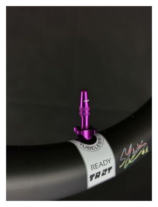 Paire de Valves Ice Airflow Tubeless 44 mm Violet