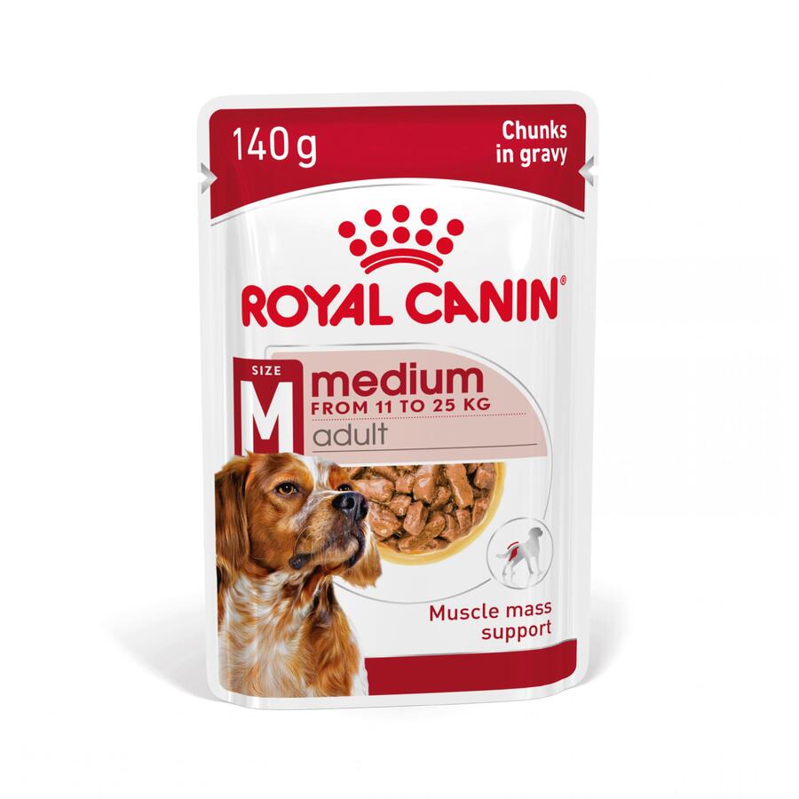 Sachê Royal Canin Medium Adult em molho para cães
