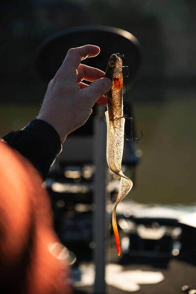 Leurre souple Fox Rage Slick Eel Loaded 21cm (25g) #2