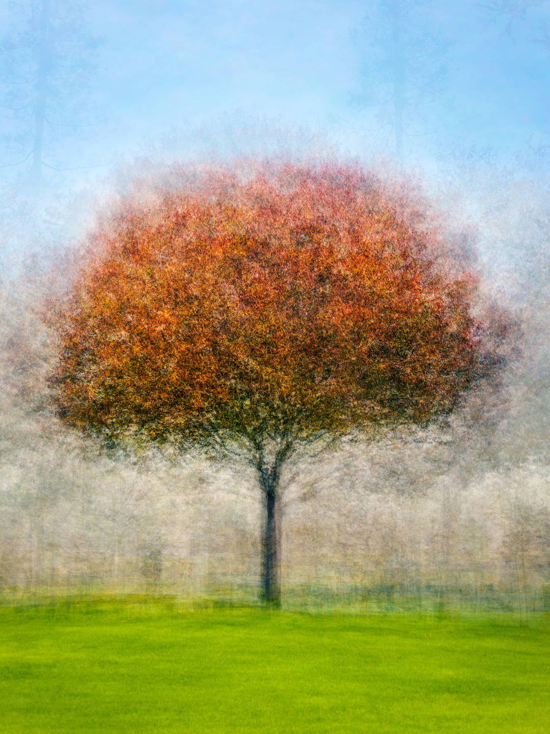 John D Morgan Park by Pep Ventosa - Limited Edition. Edition of: 100. Signed.