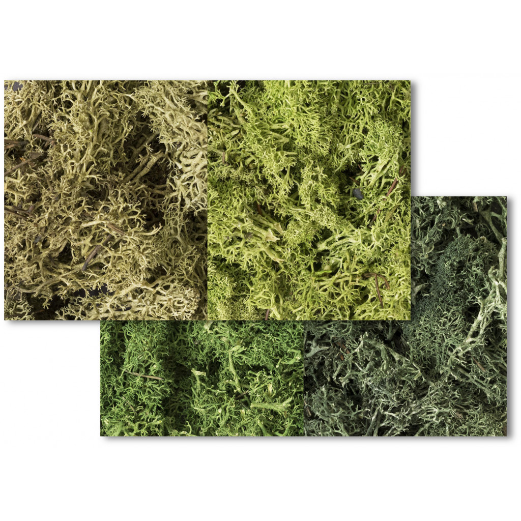 Woodland Scenics - Lichen Mix