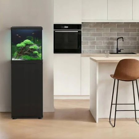 Juwel Vio Cube 54 Zwart