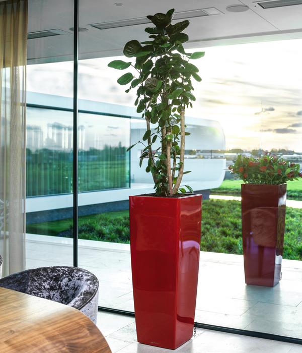 LECHUZA® CUBICO ALTO, All-in-One-Set, ca.