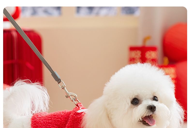 Cissilli - Chenille Pet Top voor Chinees Nieuwjaar (diverse ontwerpen)