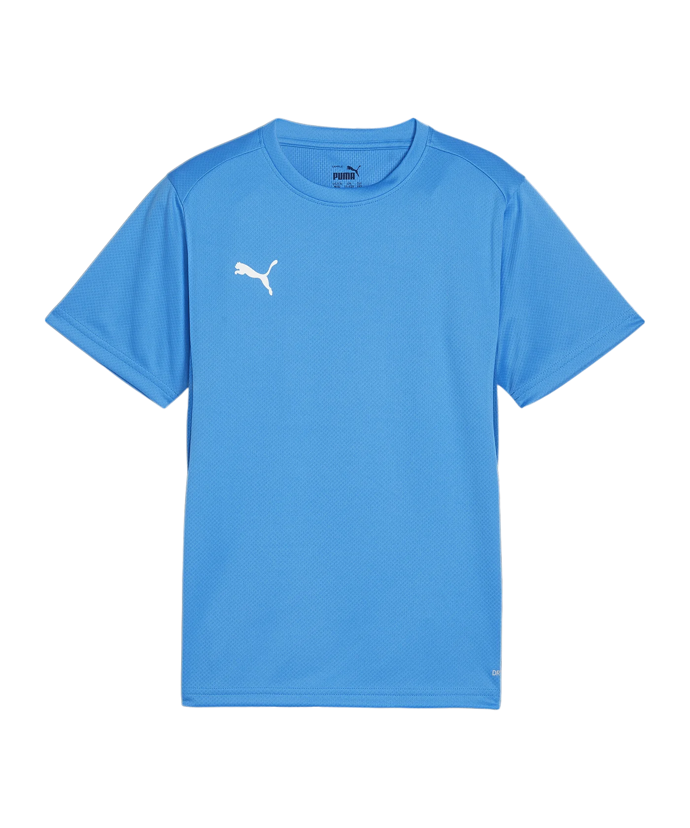 PUMA teamGOAL Trikot Kids Blau F02