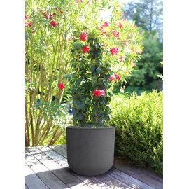 Bac à plantes rond Basalt Up – Design béton