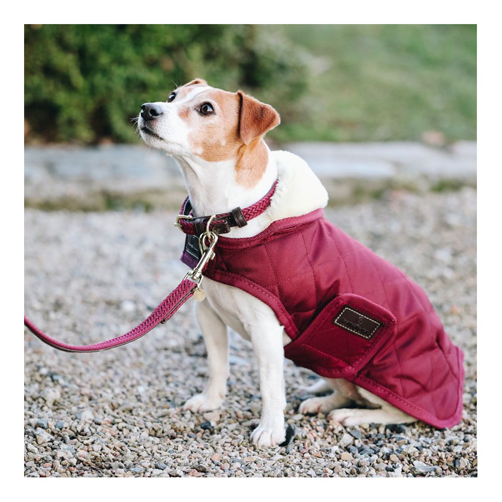 Kentucky ORIGINAL 160G - Couverture pour chien bordeaux