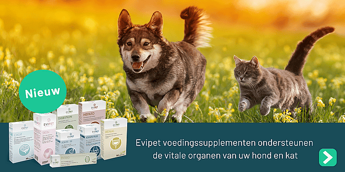 Evipet Joints Gewrichten | 20 - Grote Hond - 60 tabletten | 12988.1