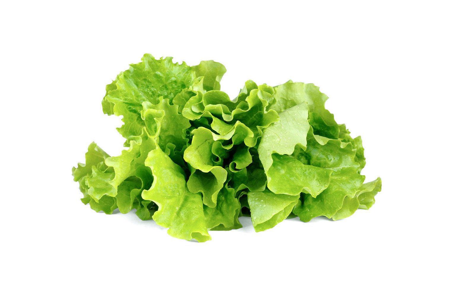 Samen Grüner Salat Nachfüllpackung 3er-SetNachfüllpackung zum Smart Herb Garden