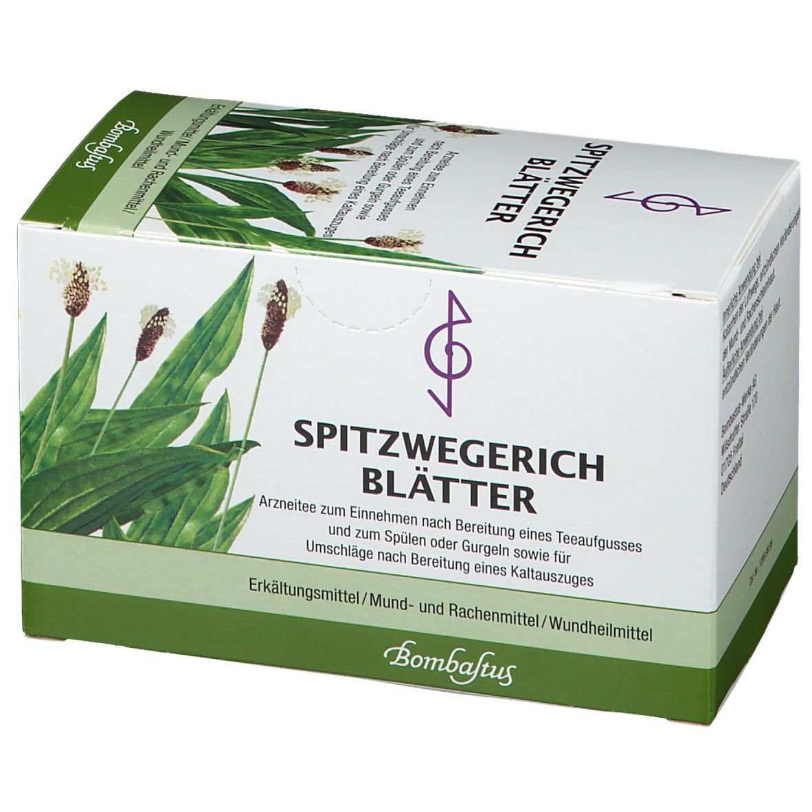 Bombastus Spitzwegerich Blätter