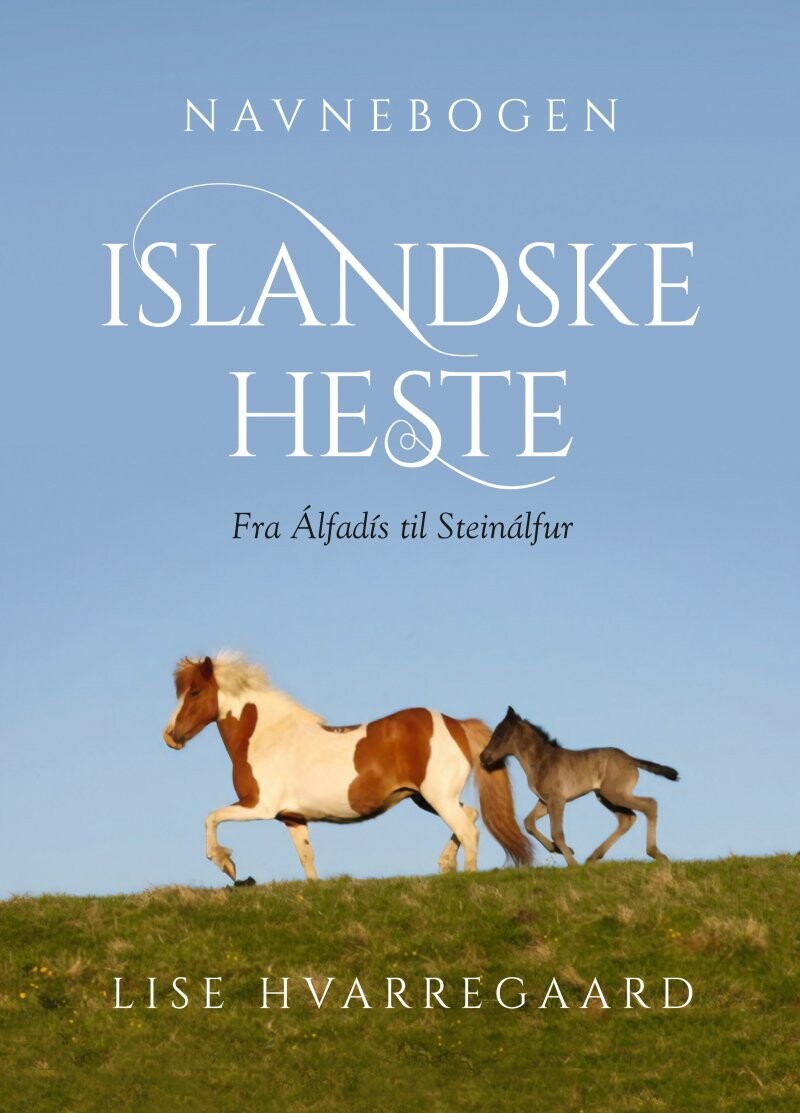Navnebogen Islandske Heste - Lise Hvarregaard - Bog