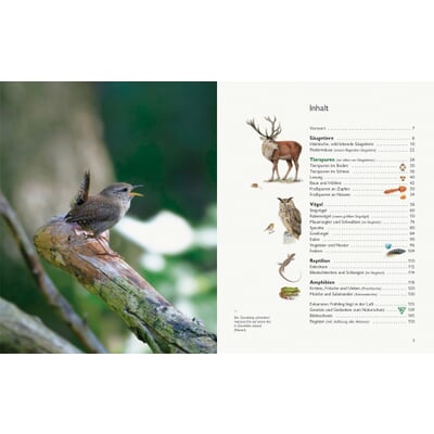 Unserer Natur auf der Spur