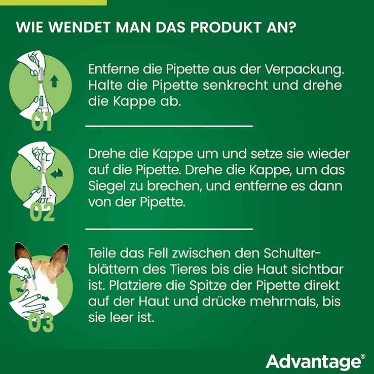 Advantage 250 für Hunde von 10-25 kg, 4 St