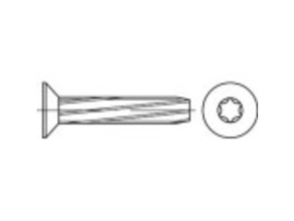 TOOLCRAFT 141877 Pladeskruer M5 30 mm T-profil DIN 7516 Stål Galvaniseret 500 stk