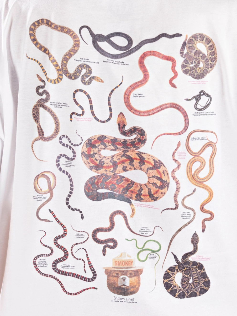 Element SBXE Nest T-Shirt optic white