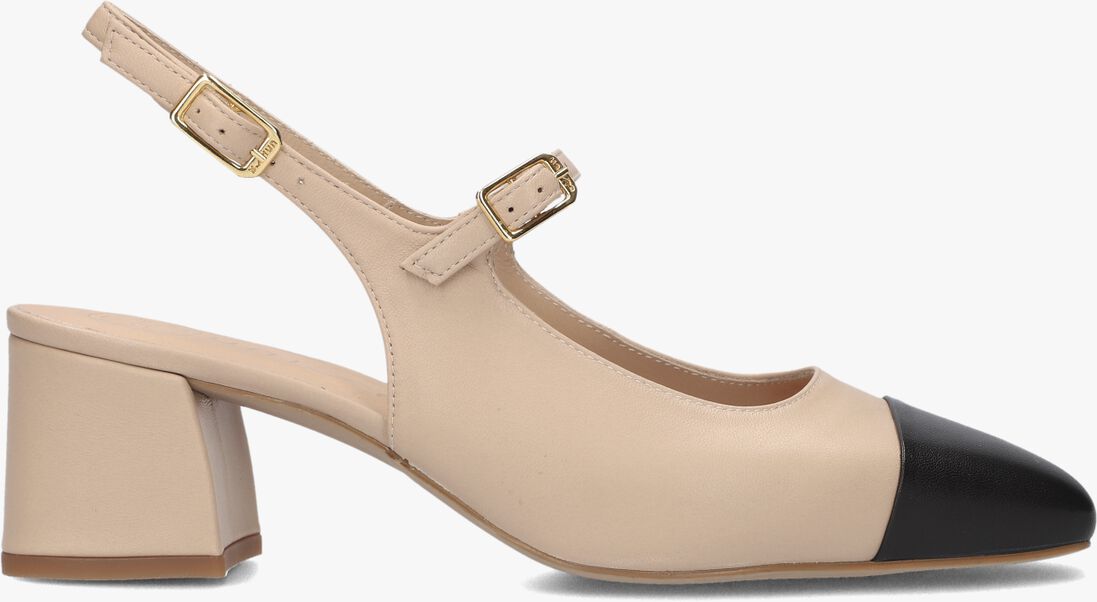 UNISA beige unisa  lumis