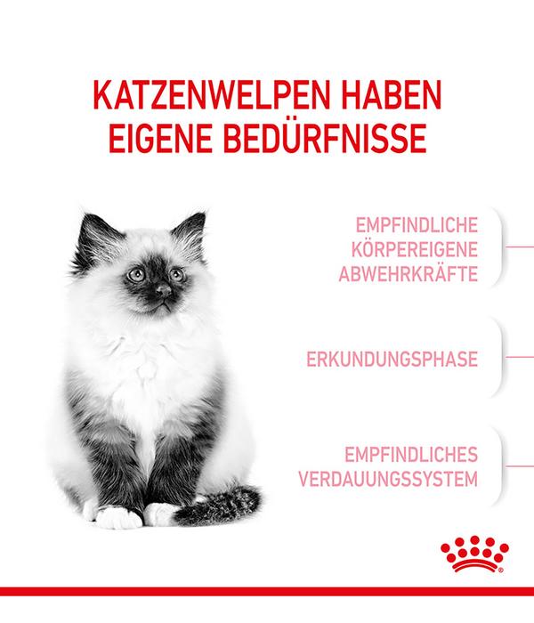 ROYAL CANIN® Trockenfutter für Katzen Kitten
