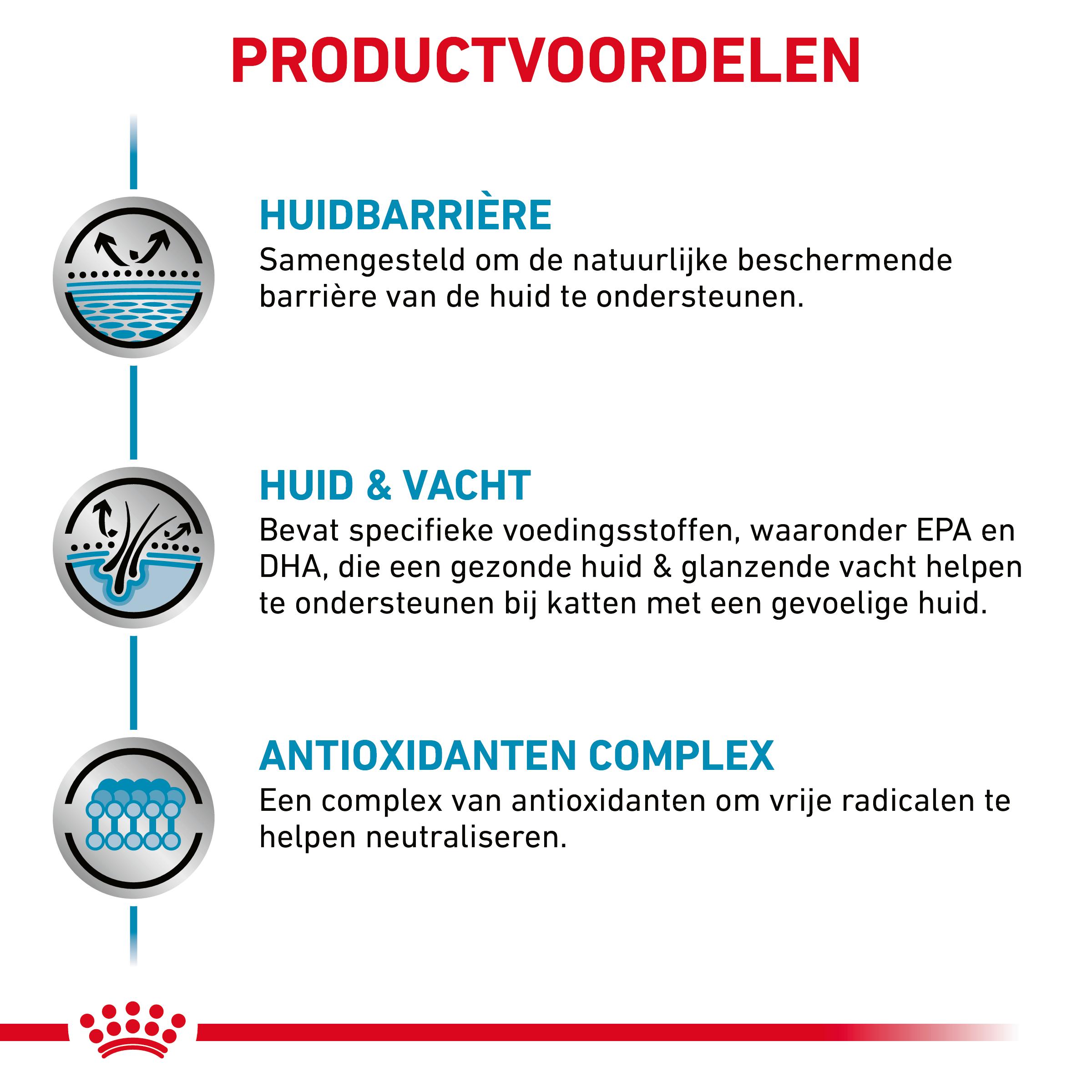 Royal Canin Skin & Coat Wet