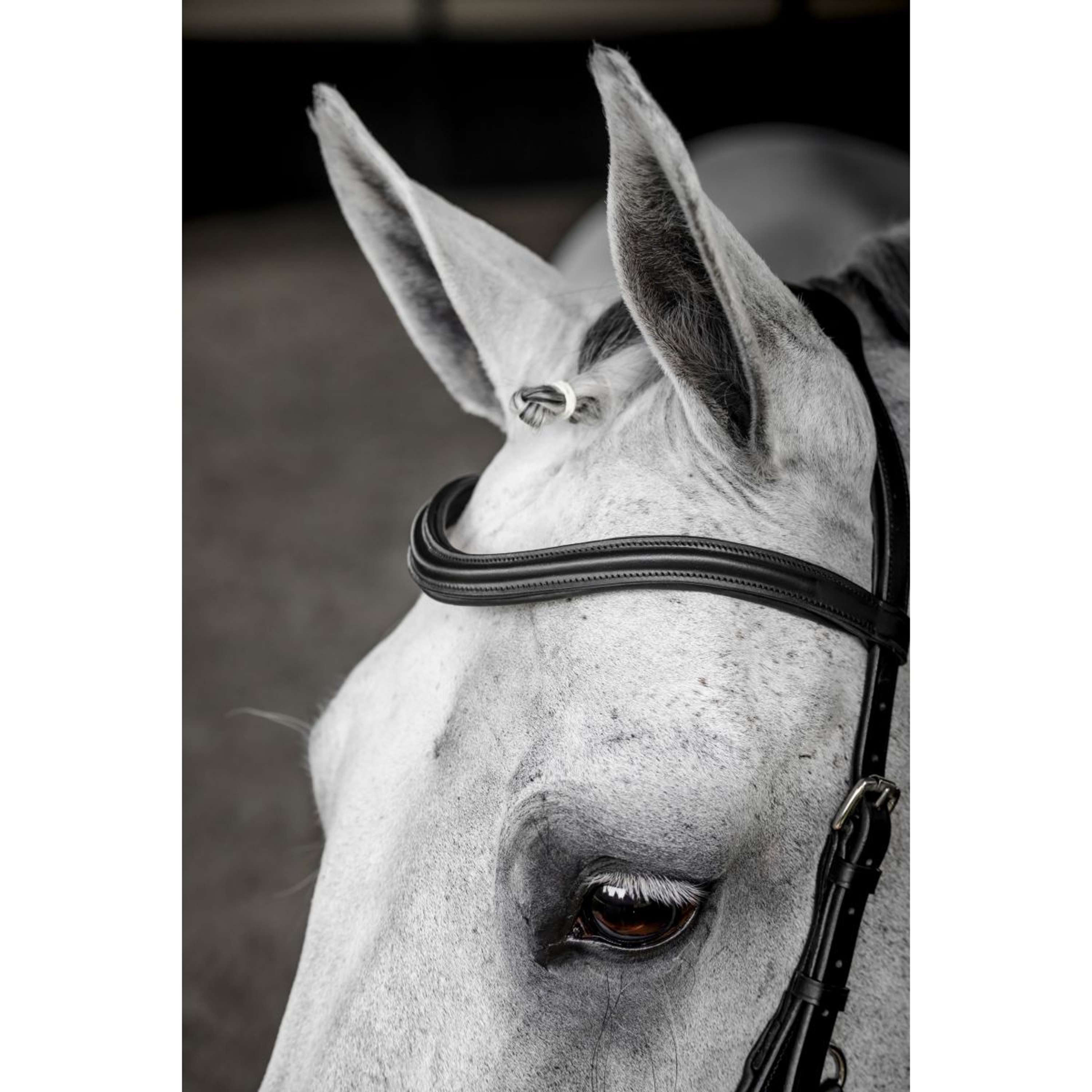Horseware Micklem Deluxe Competition Bridle Zwart