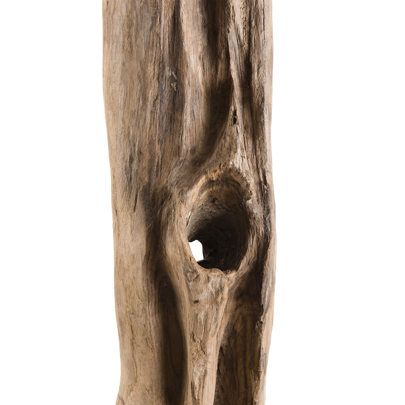 Macabane Sculpture branche L Clara teck - 28x26x150 cm