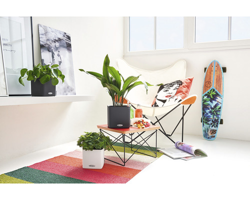 Lechuza Cube Color kunststof bloempot 16x16x16 cm wit incl. zelfbewateringssysteem en plantenbak