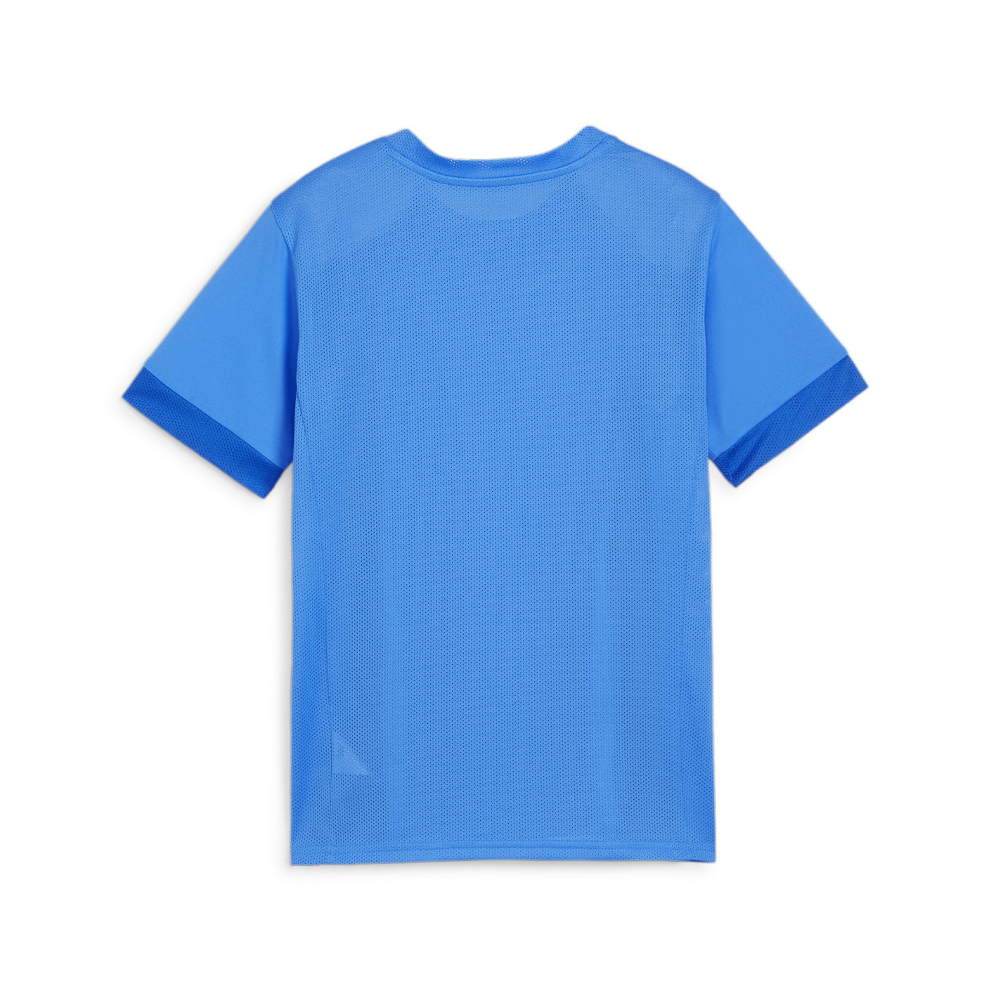 PUMA teamGOAL Matchday Voetbaltenue Kids Blauw Wit