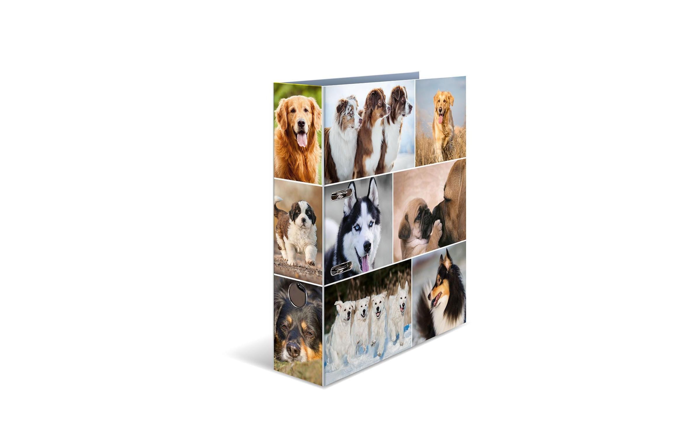 Ordner Hunde 7 cm, MehrfarbigOrdner 7 cm