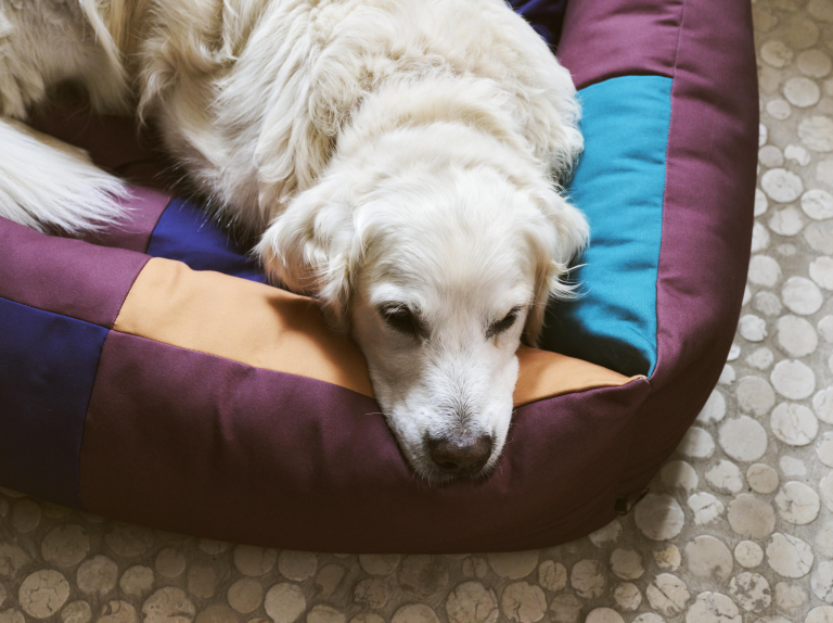 Hay Dogs hondenmand 75x96 Burgundy and Green
