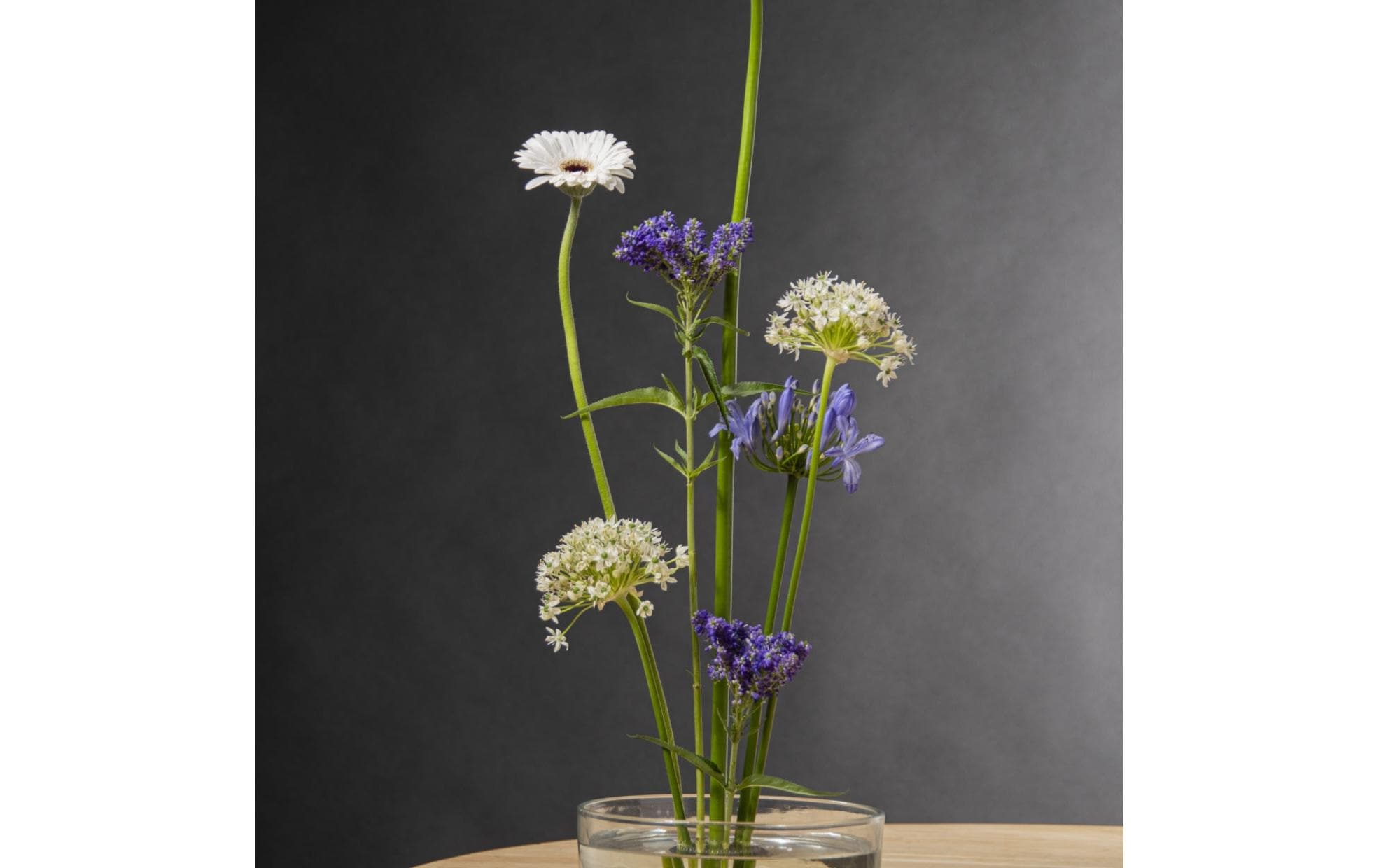Steckigel Kenzan L Schwarz/SilberSteckigel für Blumen