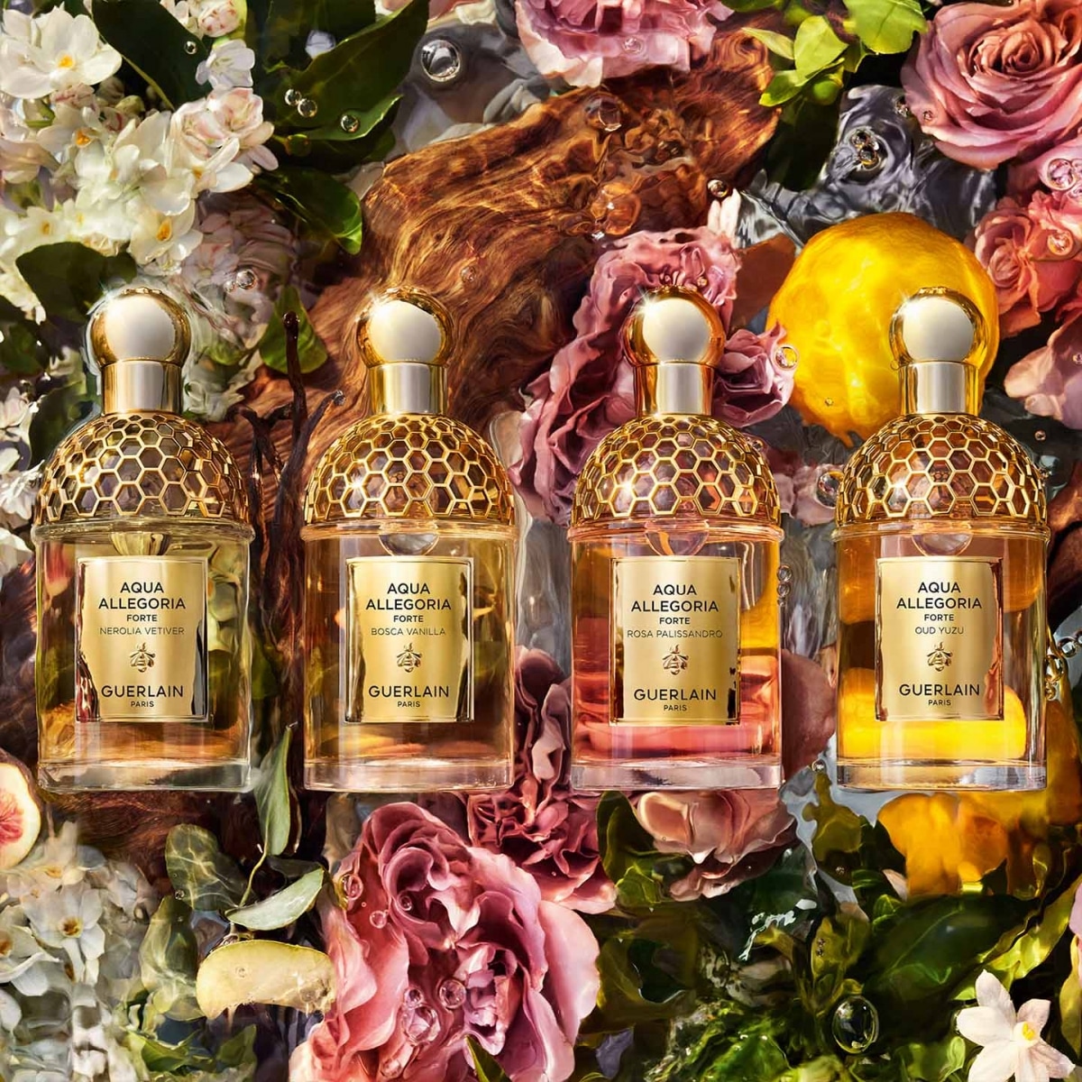 GUERLAIN Aqua Allegoria Forte Rosa PalissandroEau de Parfum