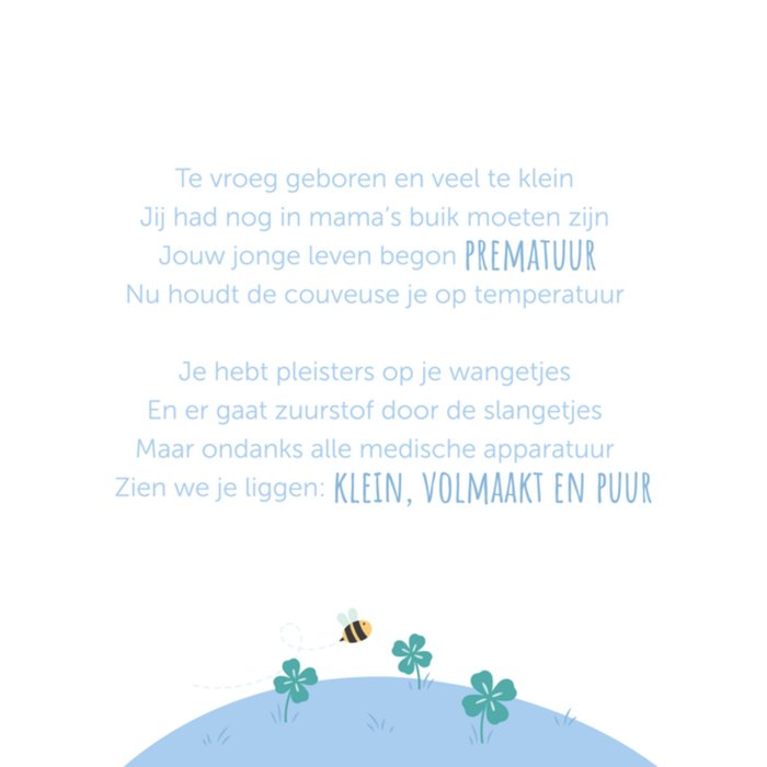 Kleine Twinkeltjes | Geboortekaart | panda