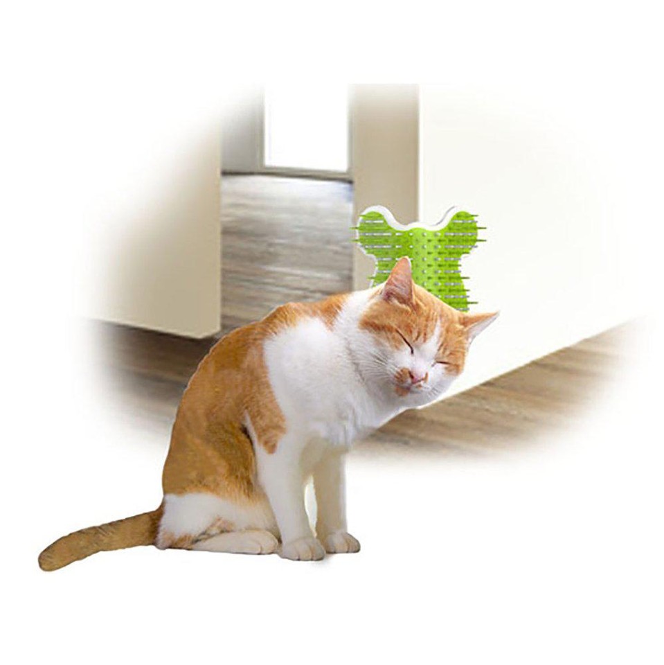 All For Paws - Groomer Corner 14*12*9Cm