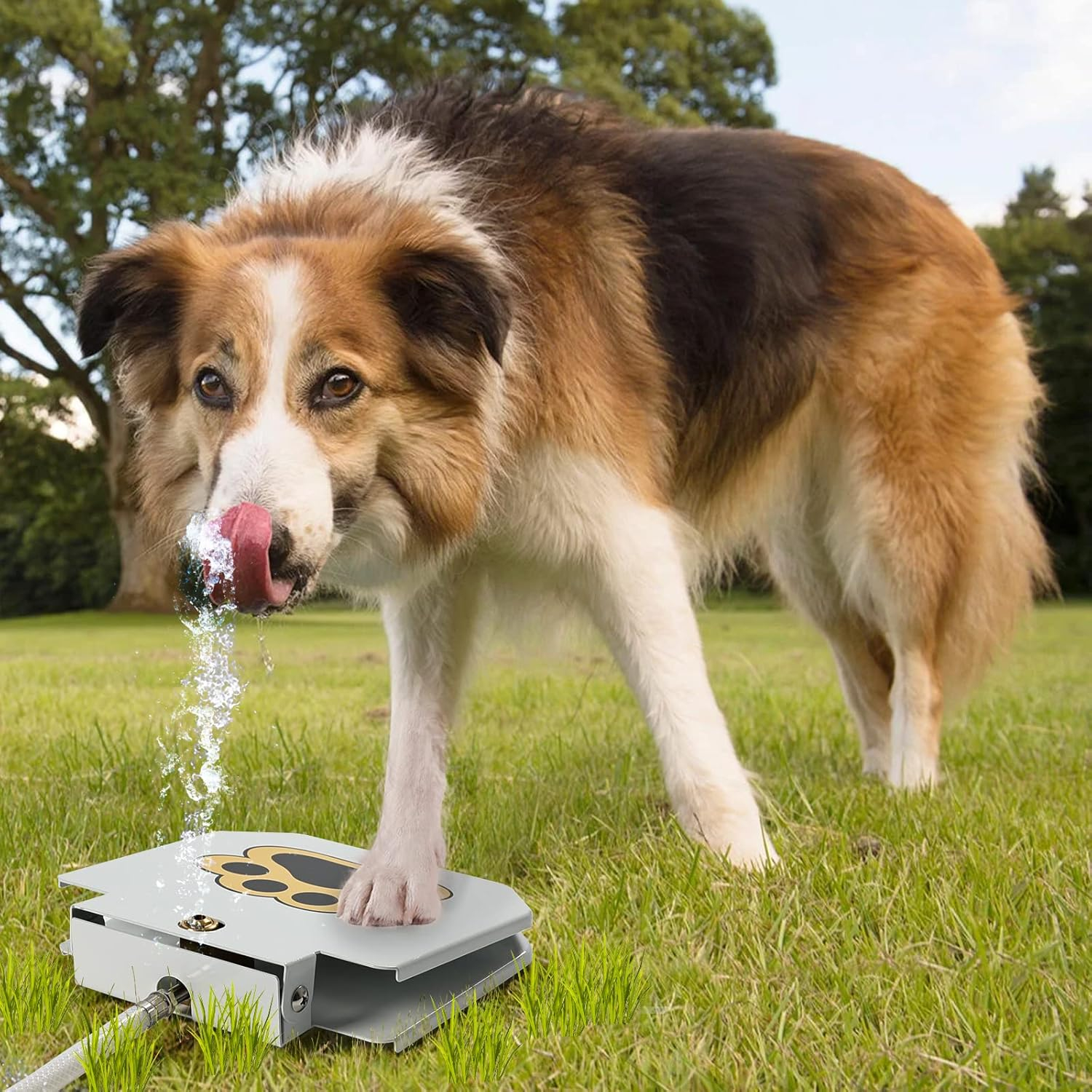 (21.5x22cm) Hunde Spielzeug Wasser Sprinkler Haustier Trinkspender Outdoor Wasserbrunnen Step On Pfoten Presse - Weiss