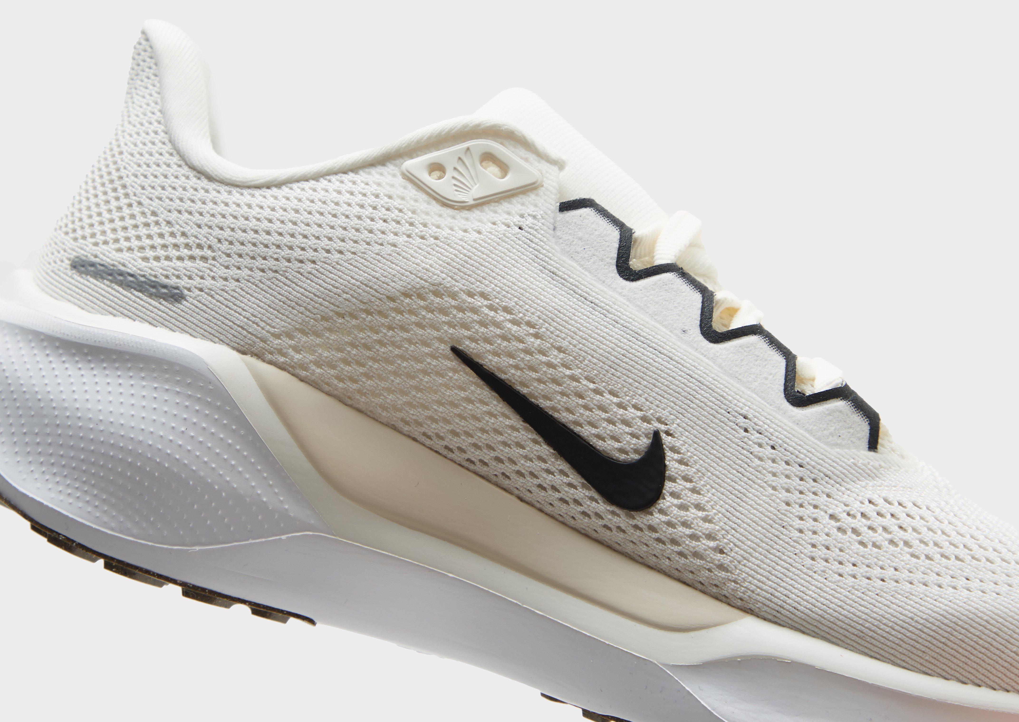 Nike Pegasus 41 Femme