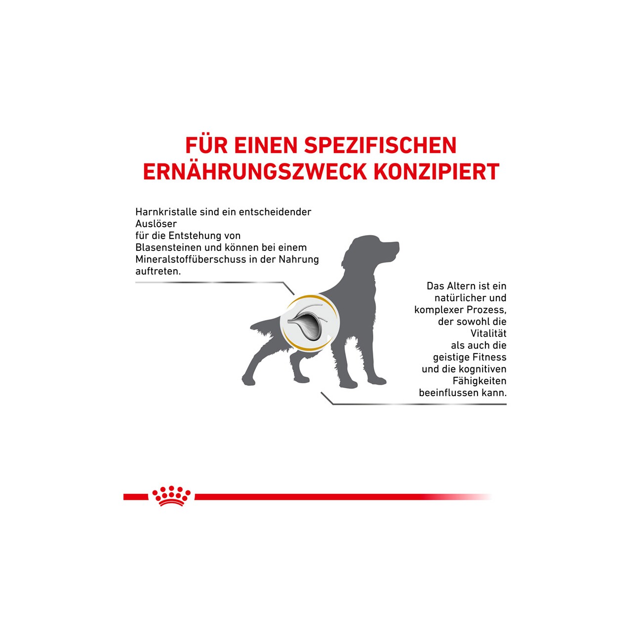 ROYAL CANIN Veterinary Urinary S/O Ageing 7+ 8 kg