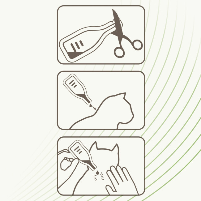 Pipettes VETOpure Beaphar antiparasitaires à l'eucalyptus pour chat