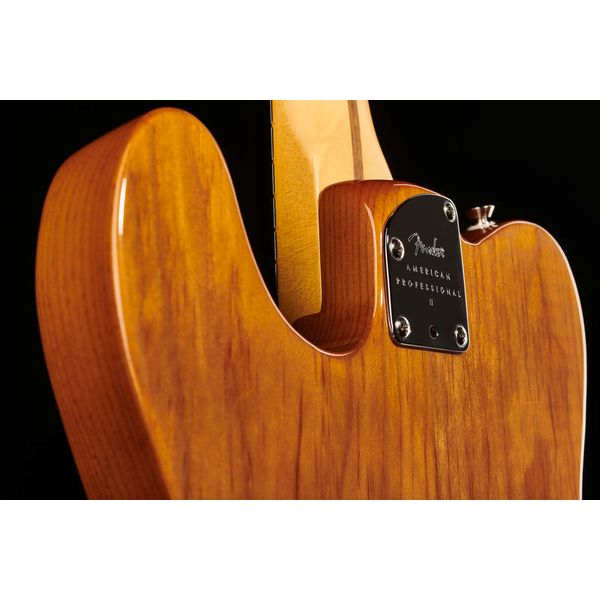 Fender AM Pro II Tele MN RST PINE